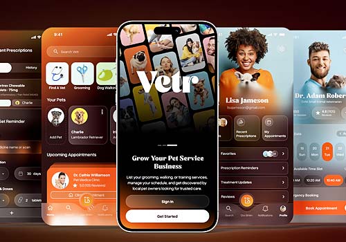 NY Digital Winner - Silver Spoon Agency Inc. - Pet Care Re-Imagined 
